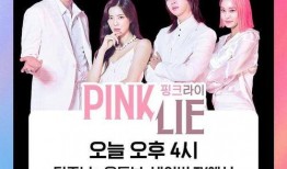 粉红谎言爆料视频大全,视频大全深度剖析